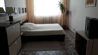 Мотели Ria Druzhkovka Большой двухместный номер с 1 кроватью-5